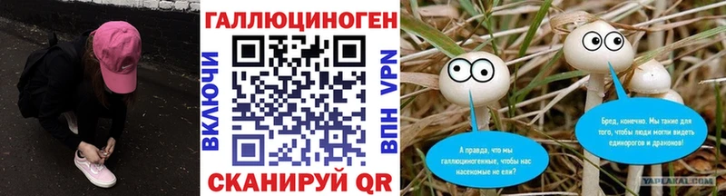Галлюциногенные грибы Psilocybe  mega ссылки  Боровск  наркота 